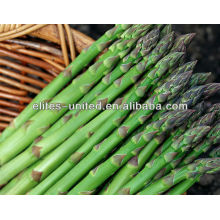 whole iqf green asparagus